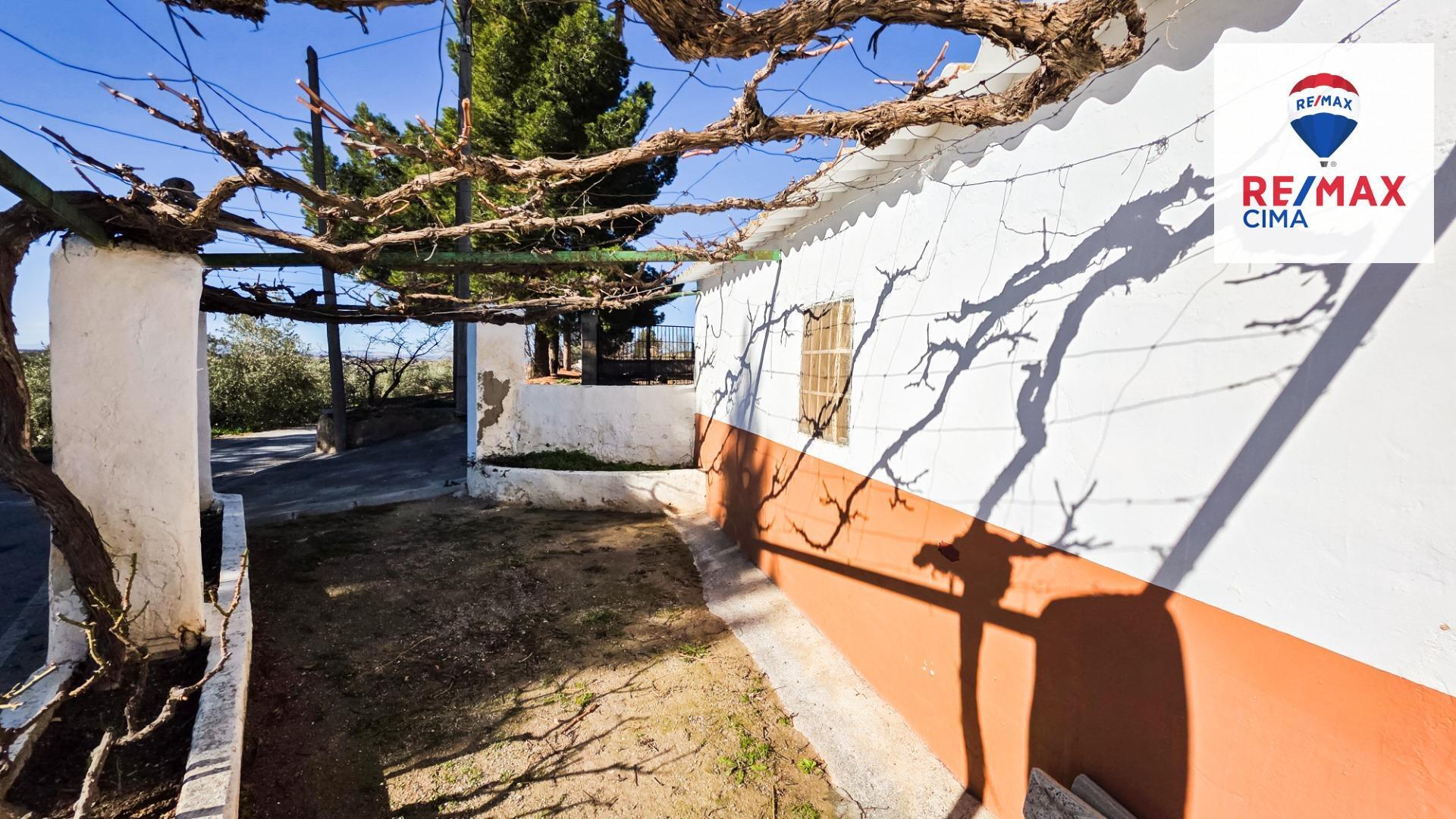 Pisos-Venta-Cuevas del Campo-1585591-Foto-18