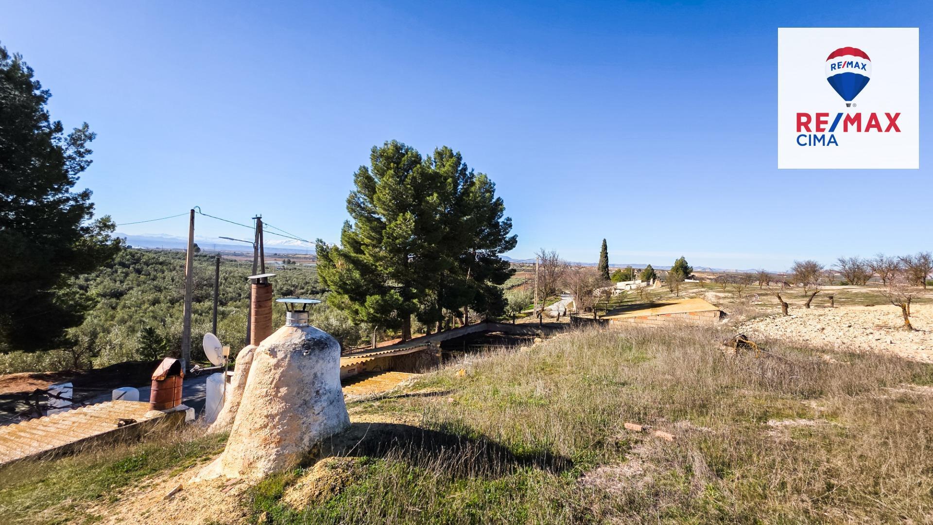 Pisos-Venta-Cuevas del Campo-1585591-Foto-19