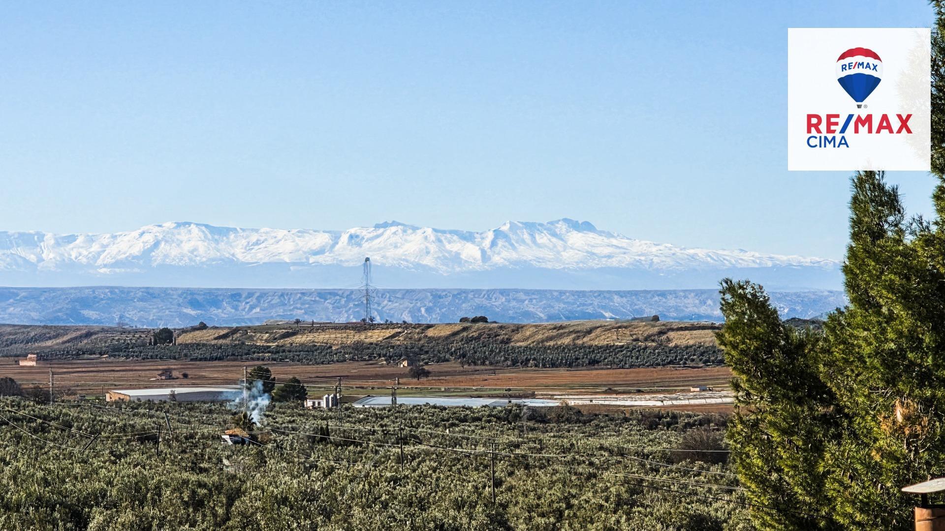 Pisos-Venta-Cuevas del Campo-1585591-Foto-20