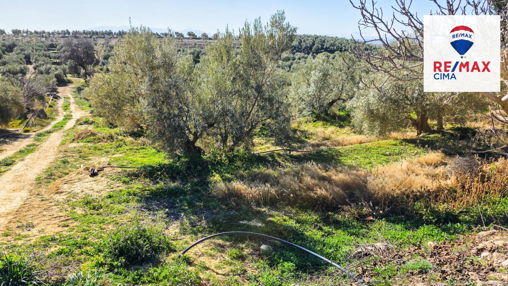 Pisos-Venta-Cuevas del Campo-1585591-Foto-25