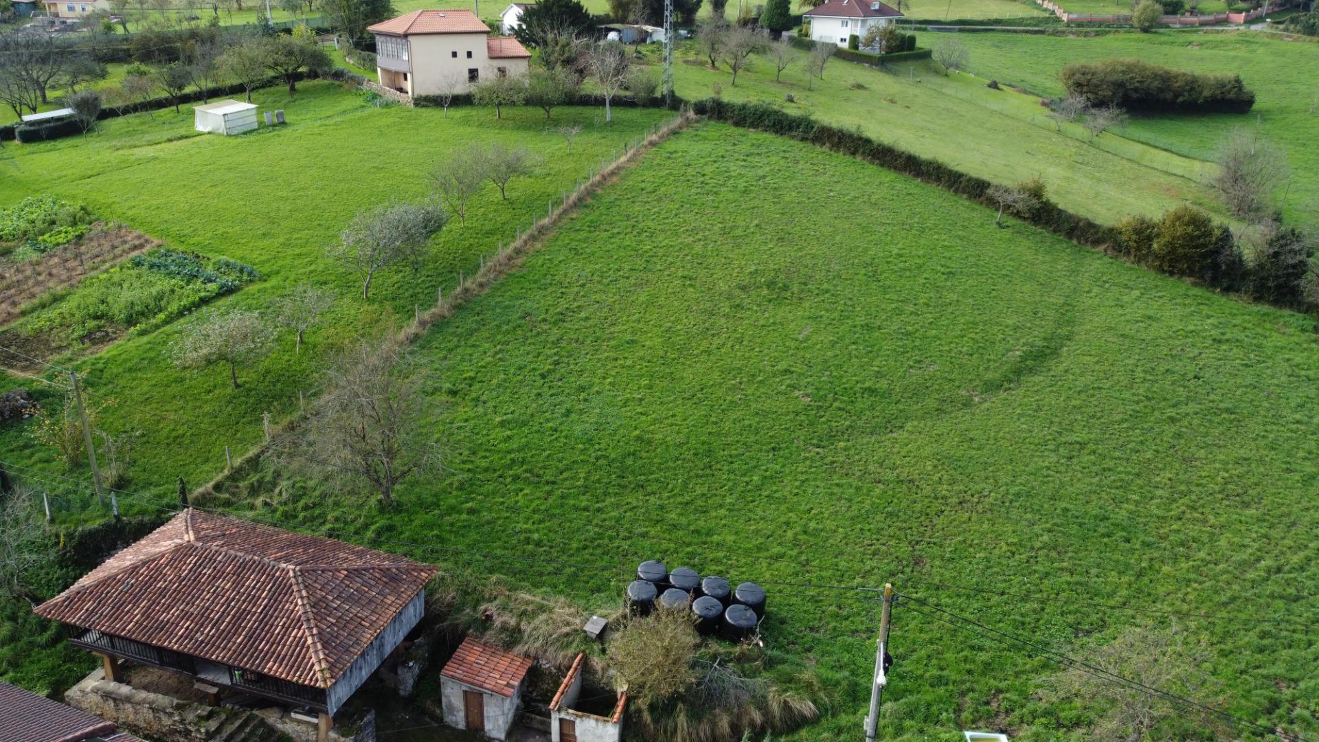 Fincas y solares-Venta-Oviedo-1480210-Foto-3