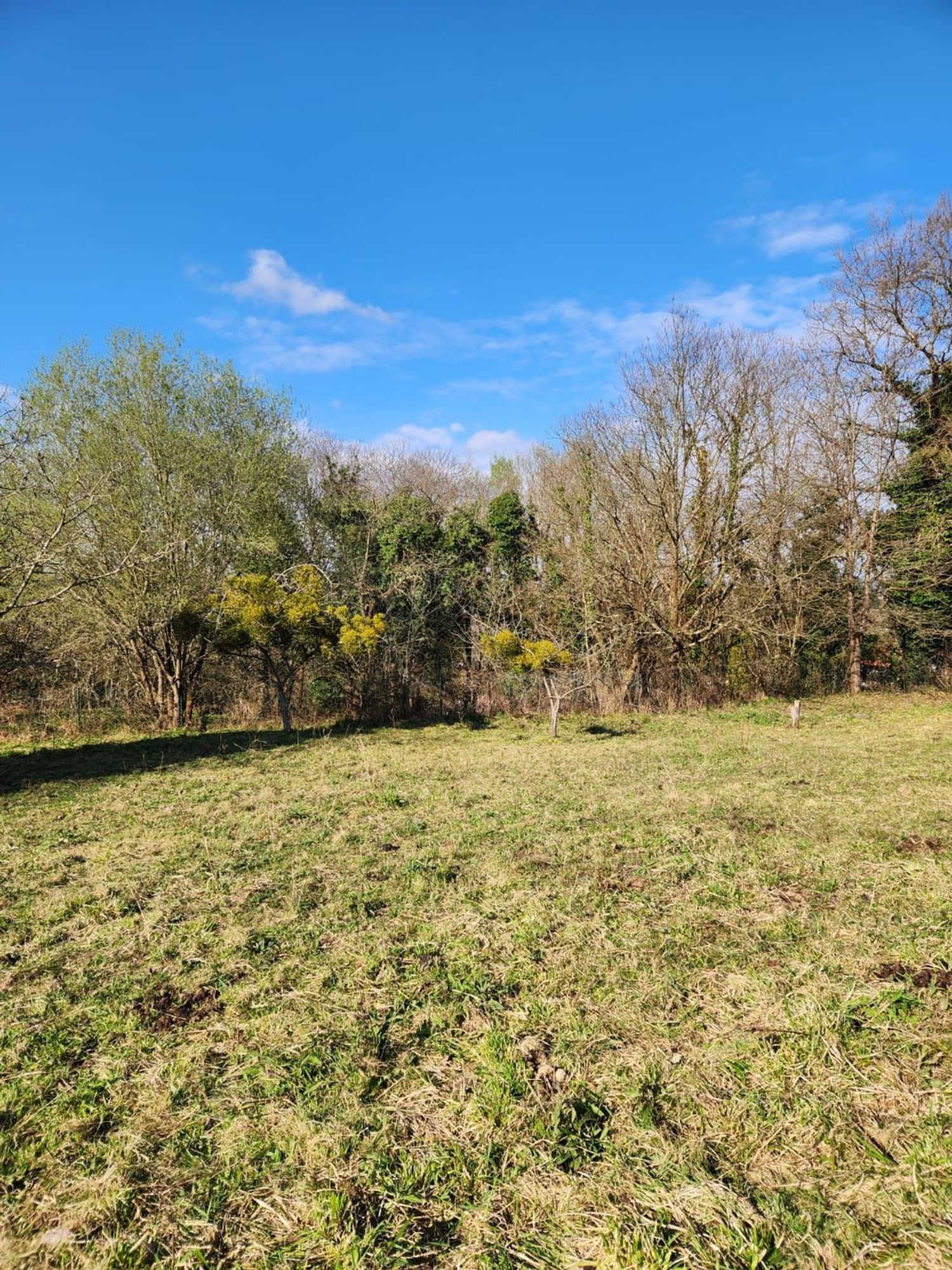 Fincas y solares-Venta-Siero-1678720-Foto-12