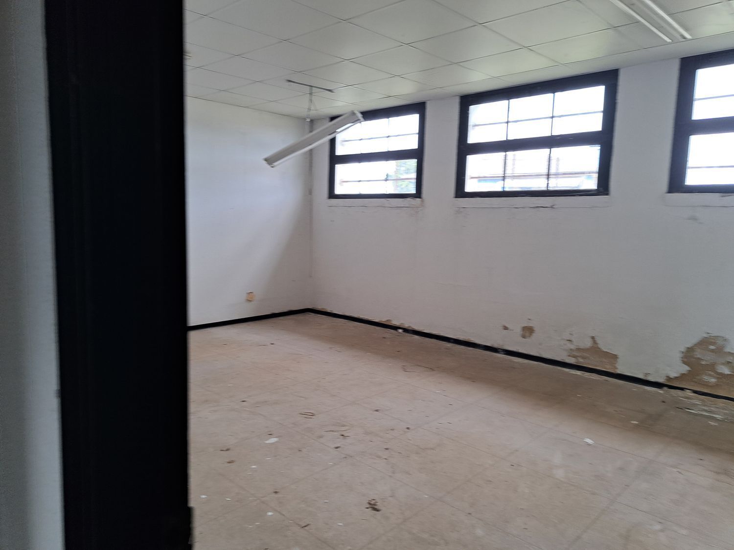 Fincas y solares-Venta-Cudillero-1658185-Foto-38