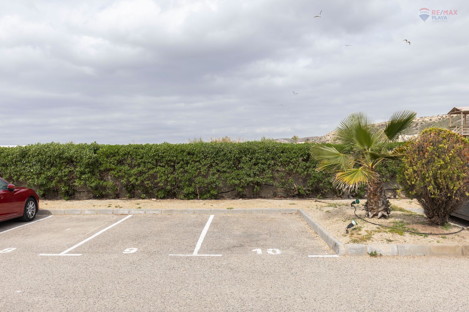 Pisos-Venta-HuÃ©rcal-Overa-1707687-Foto-30