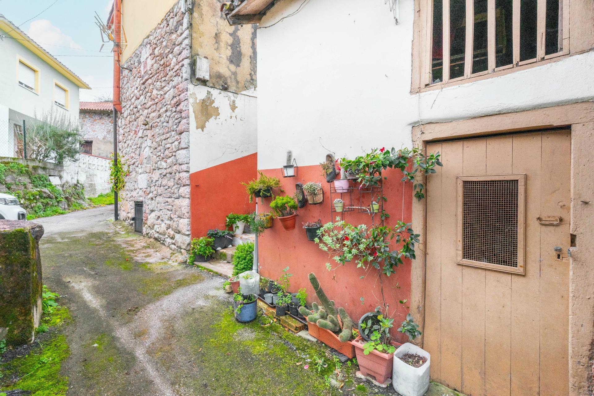 Casas o chalets-Venta-Oviedo-1482956-Foto-9
