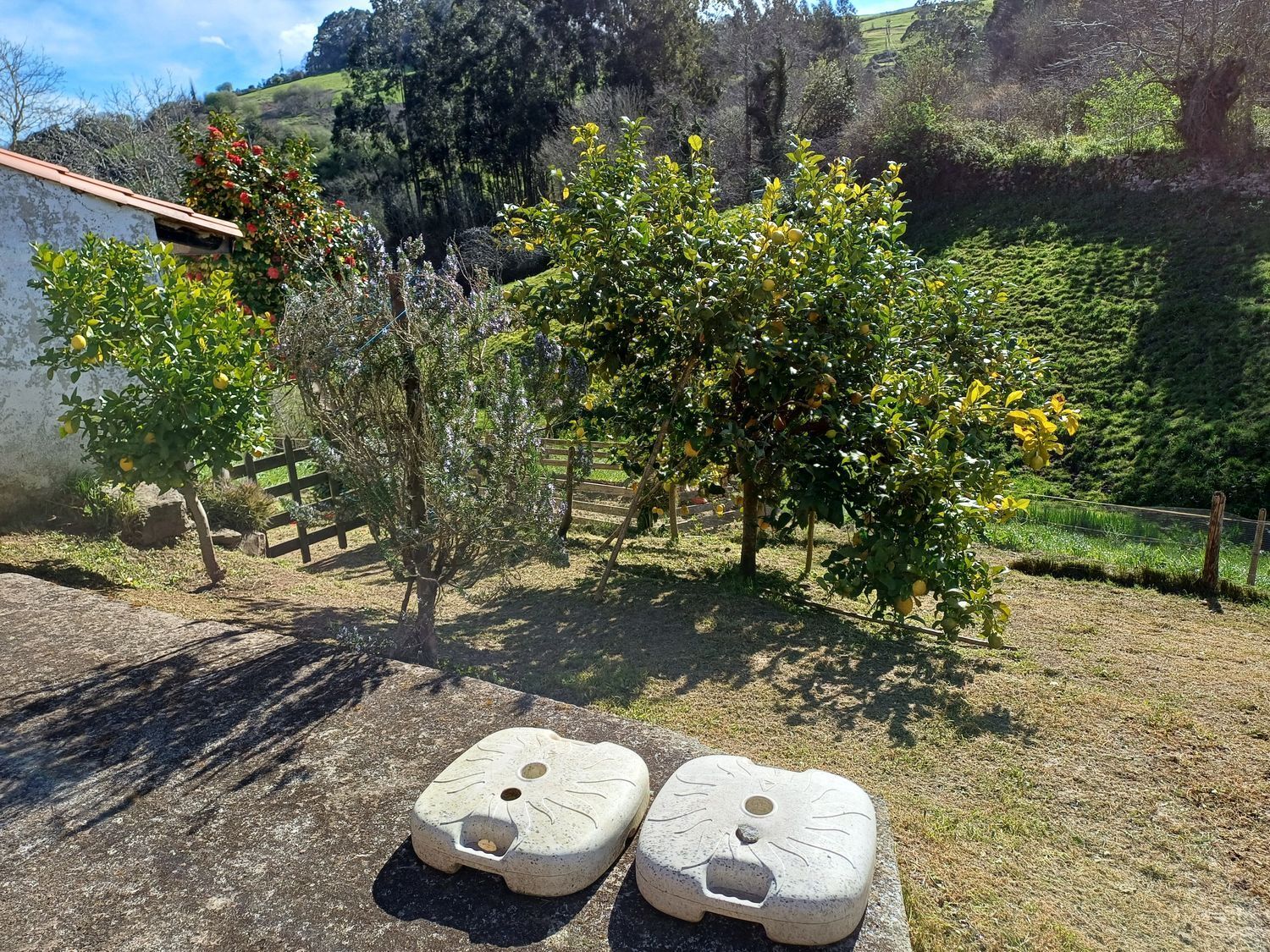 Casas o chalets-Venta-Las Tres Villas-1683033-Foto-87