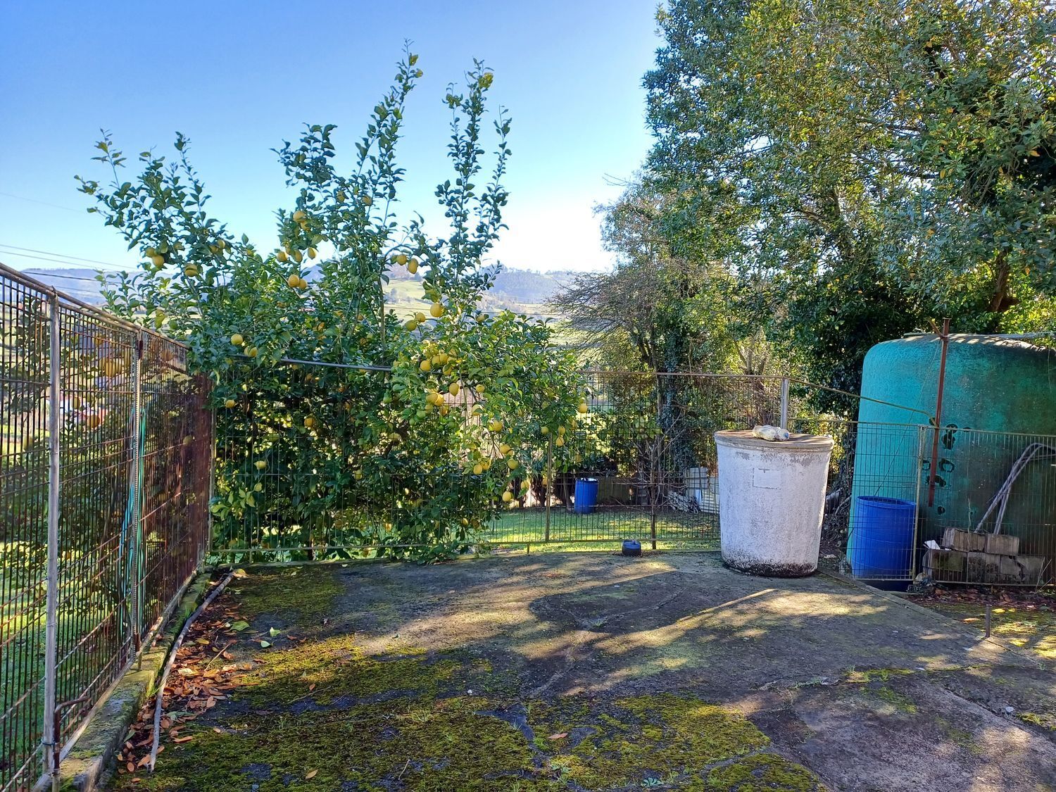 Fincas y solares-Venta-GijÃ³n-1587479-Foto-15