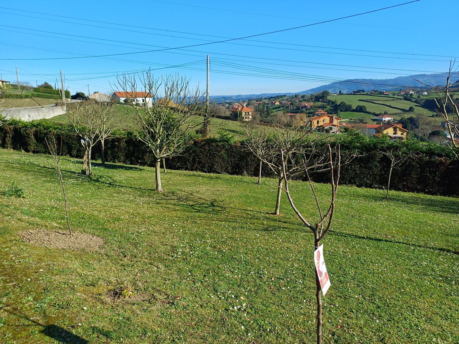 Fincas y solares-Venta-GijÃ³n-1587479-Foto-26