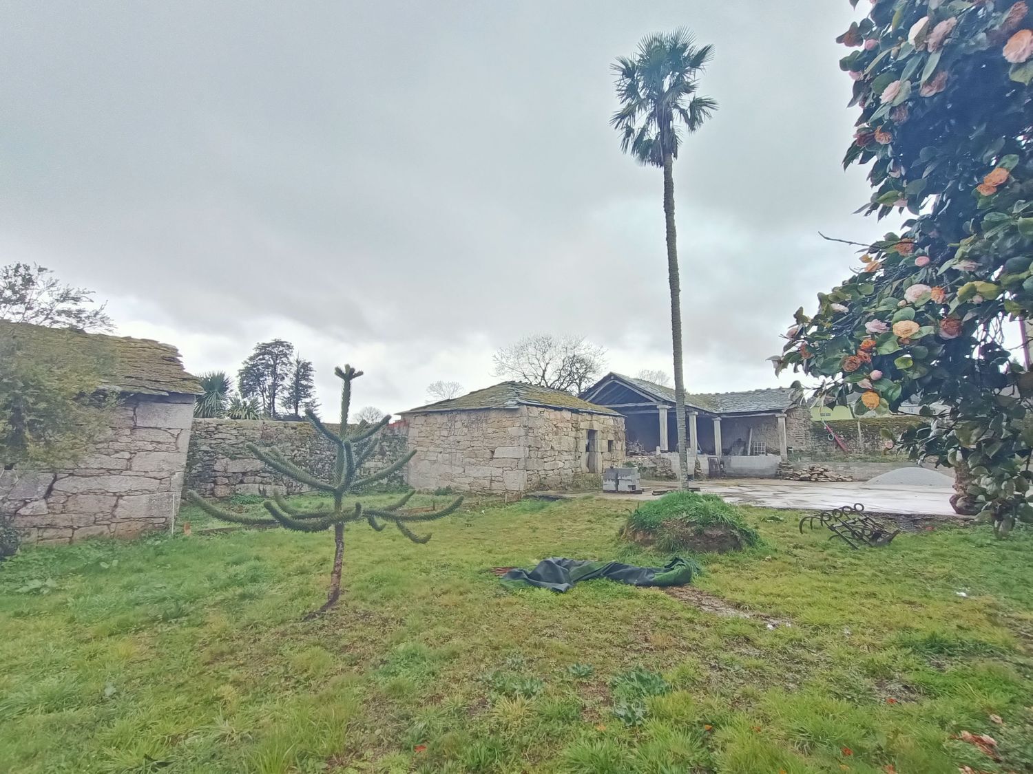 Casas o chalets-Venta-Lugo-1678723-Foto-97