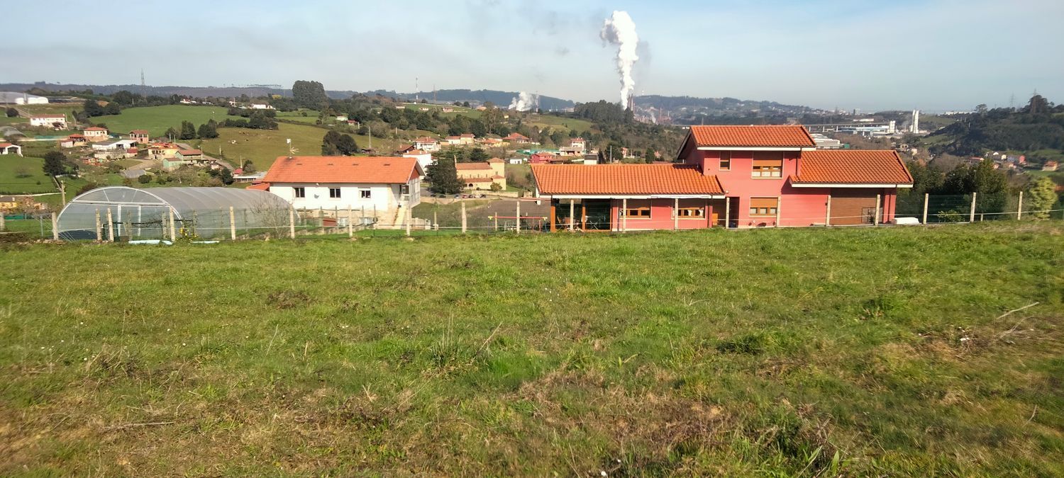Fincas y solares-Venta-GijÃ³n-1653389-Foto-5