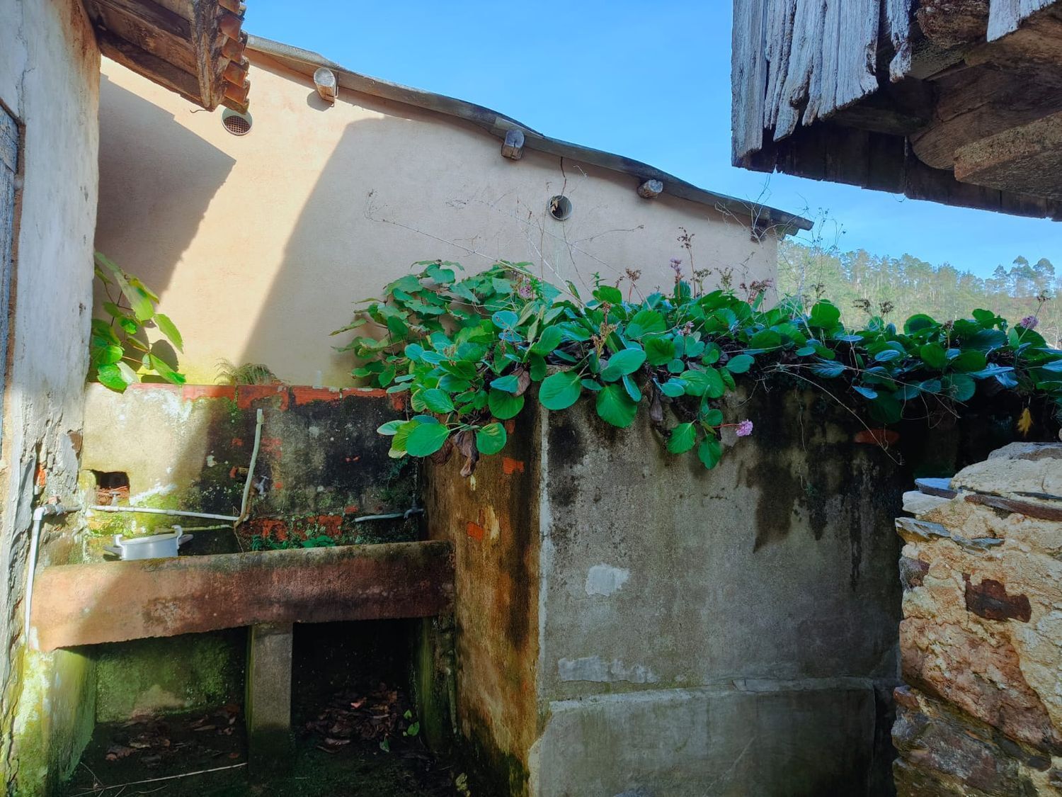Casas o chalets-Venta-ValdÃ©s-1653722-Foto-15