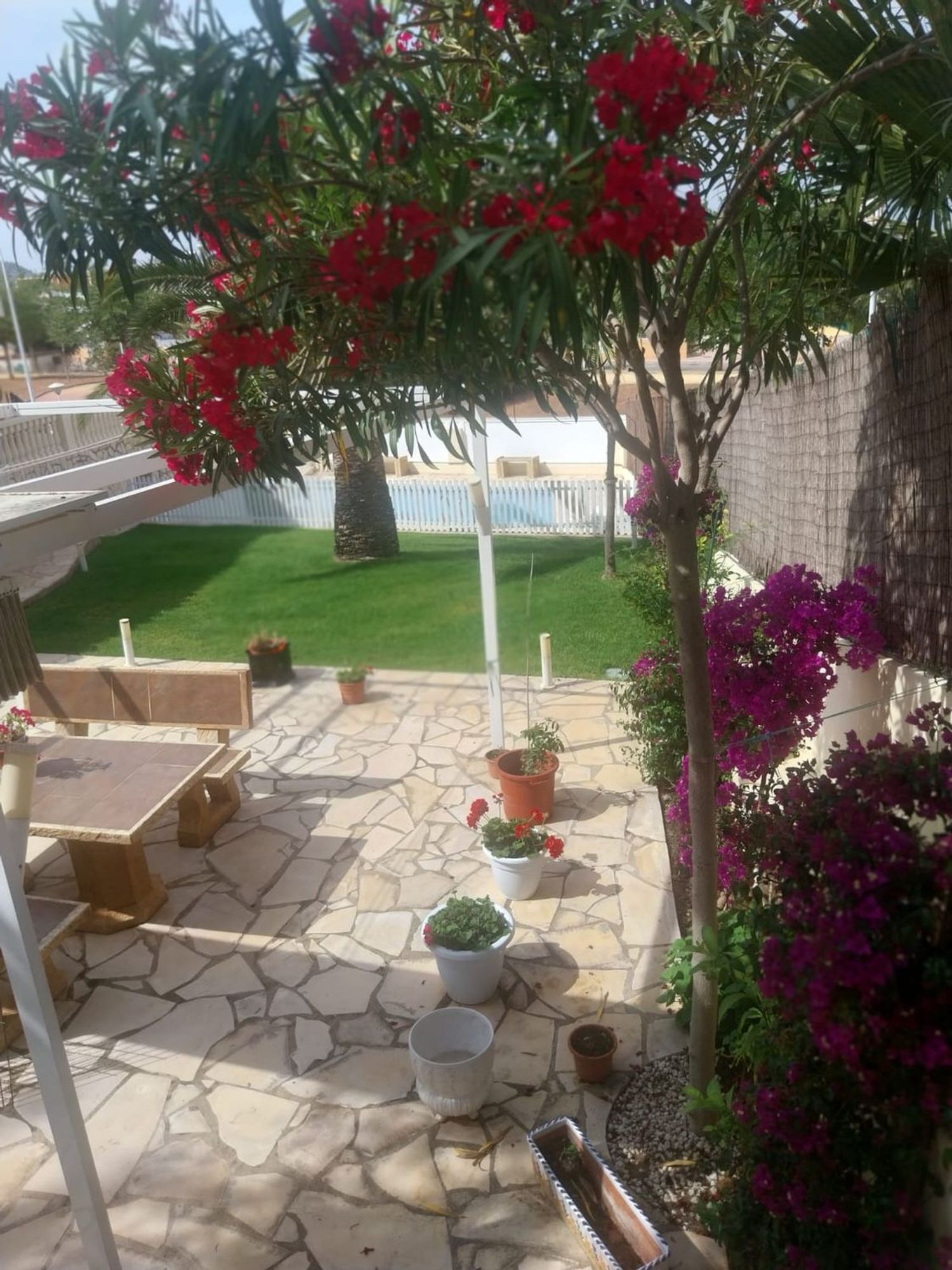 Casas o chalets-Venta-Oropesa del Mar-1389334-Foto-23