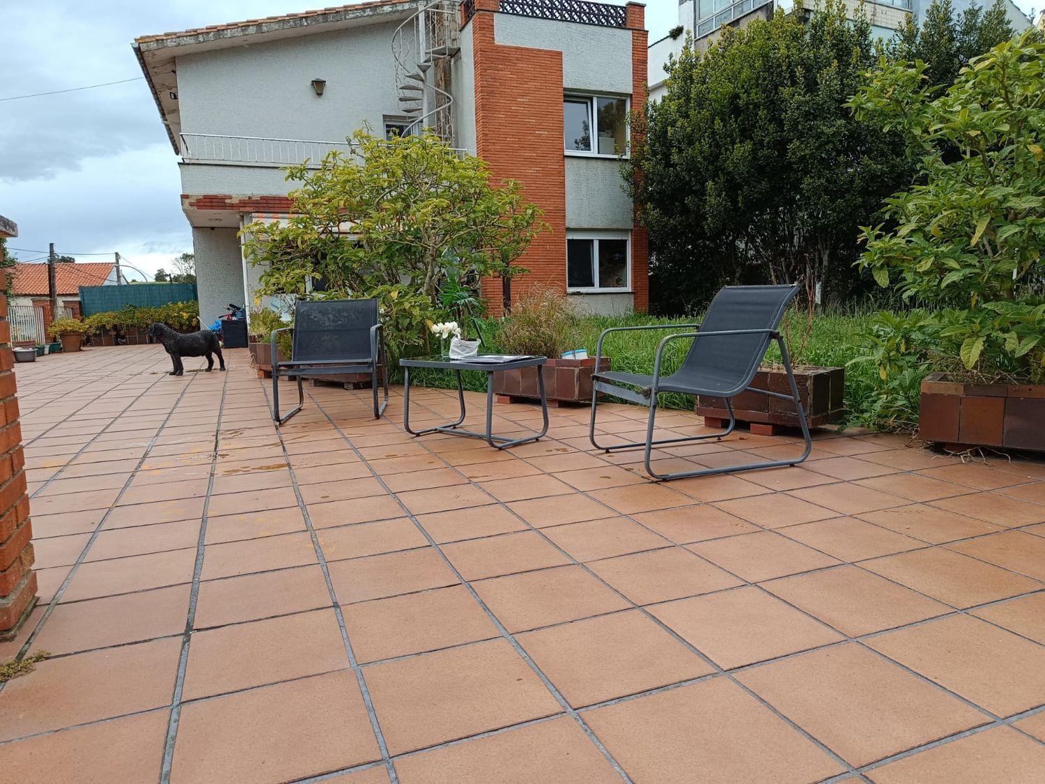 Casas o chalets-Venta-GozÃ³n-1385877-Foto-40