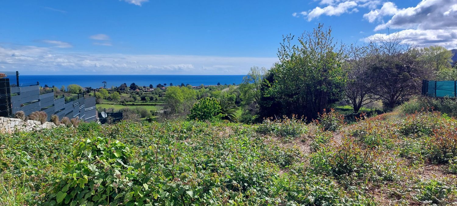 Fincas y solares-Venta-Colunga-1387211