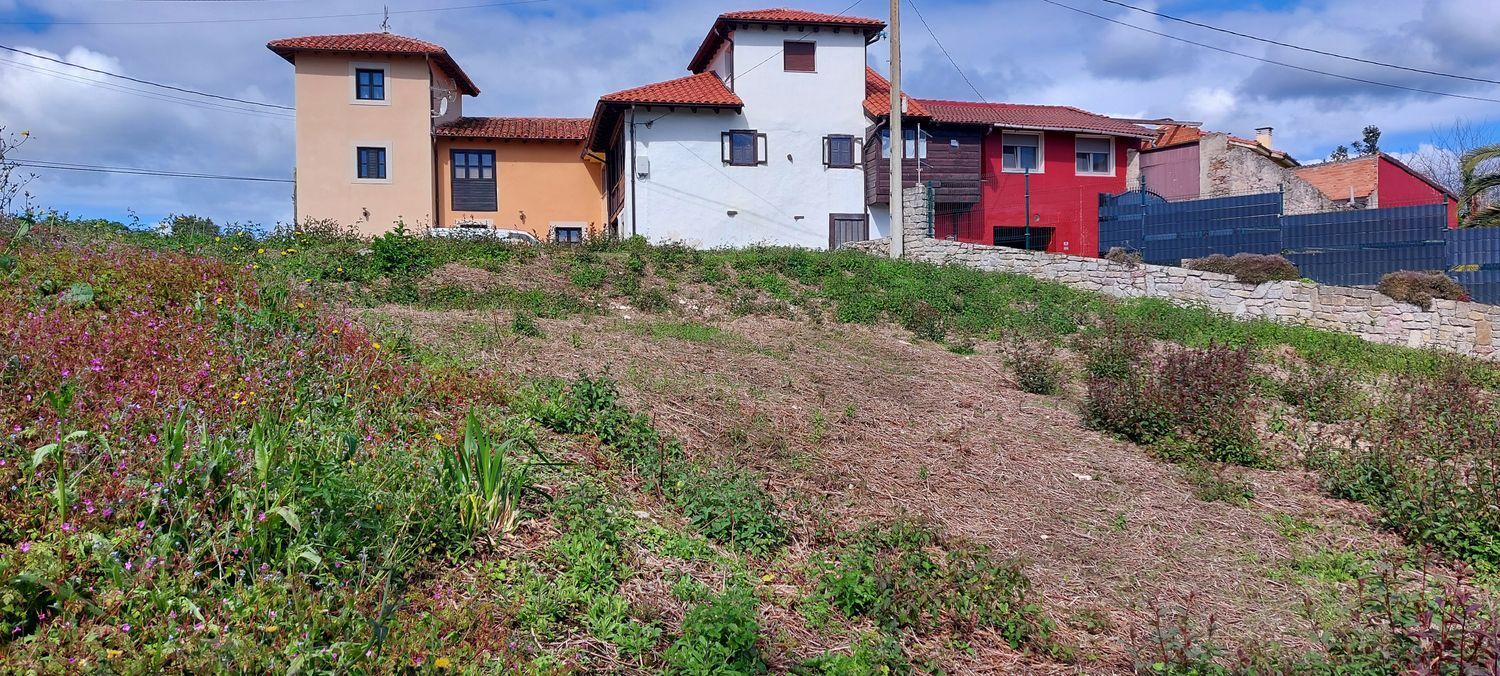 Fincas y solares-Venta-Colunga-1387211-Foto-10