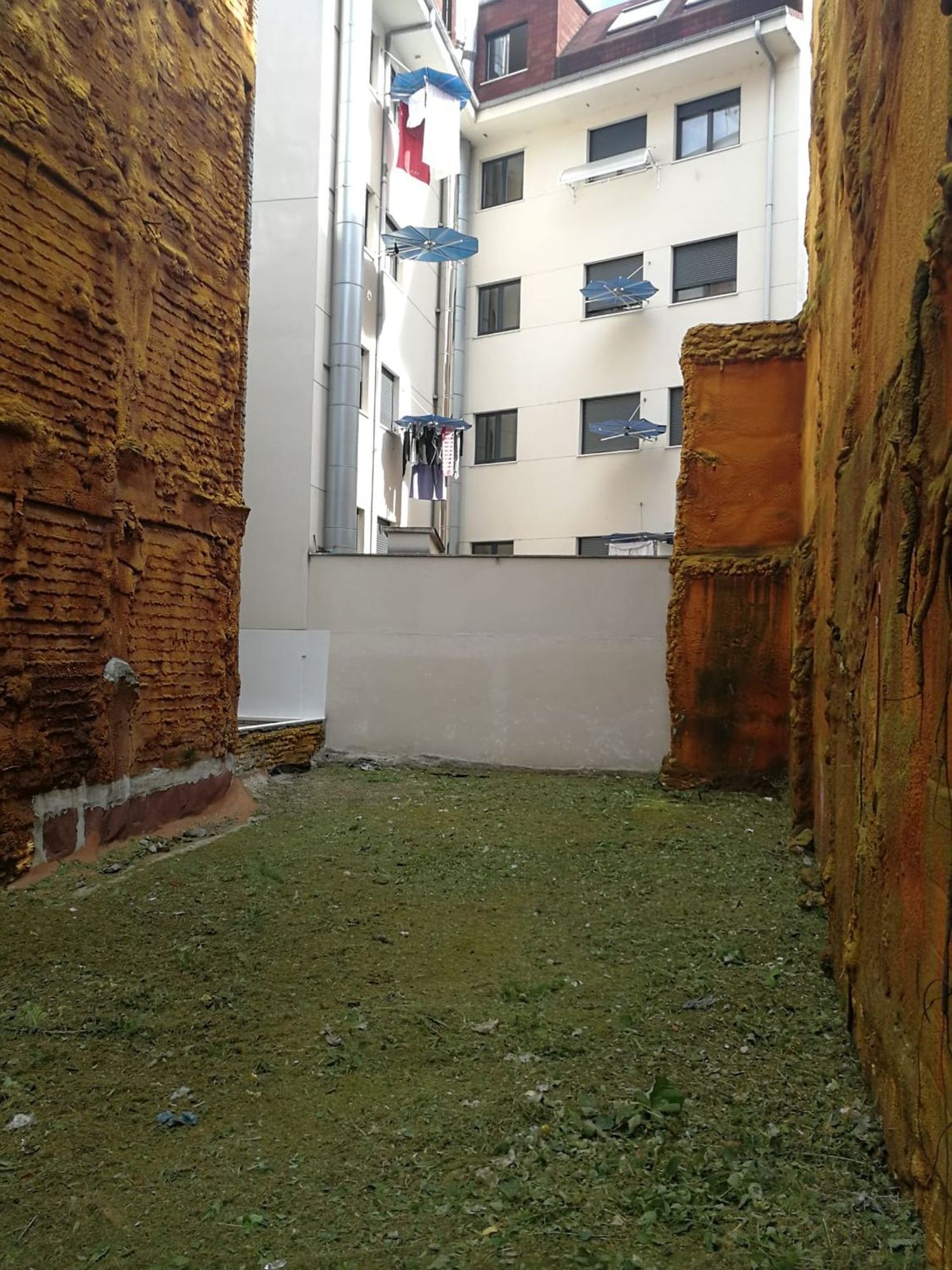 Fincas y solares-Venta-Oviedo-663491-Foto-5