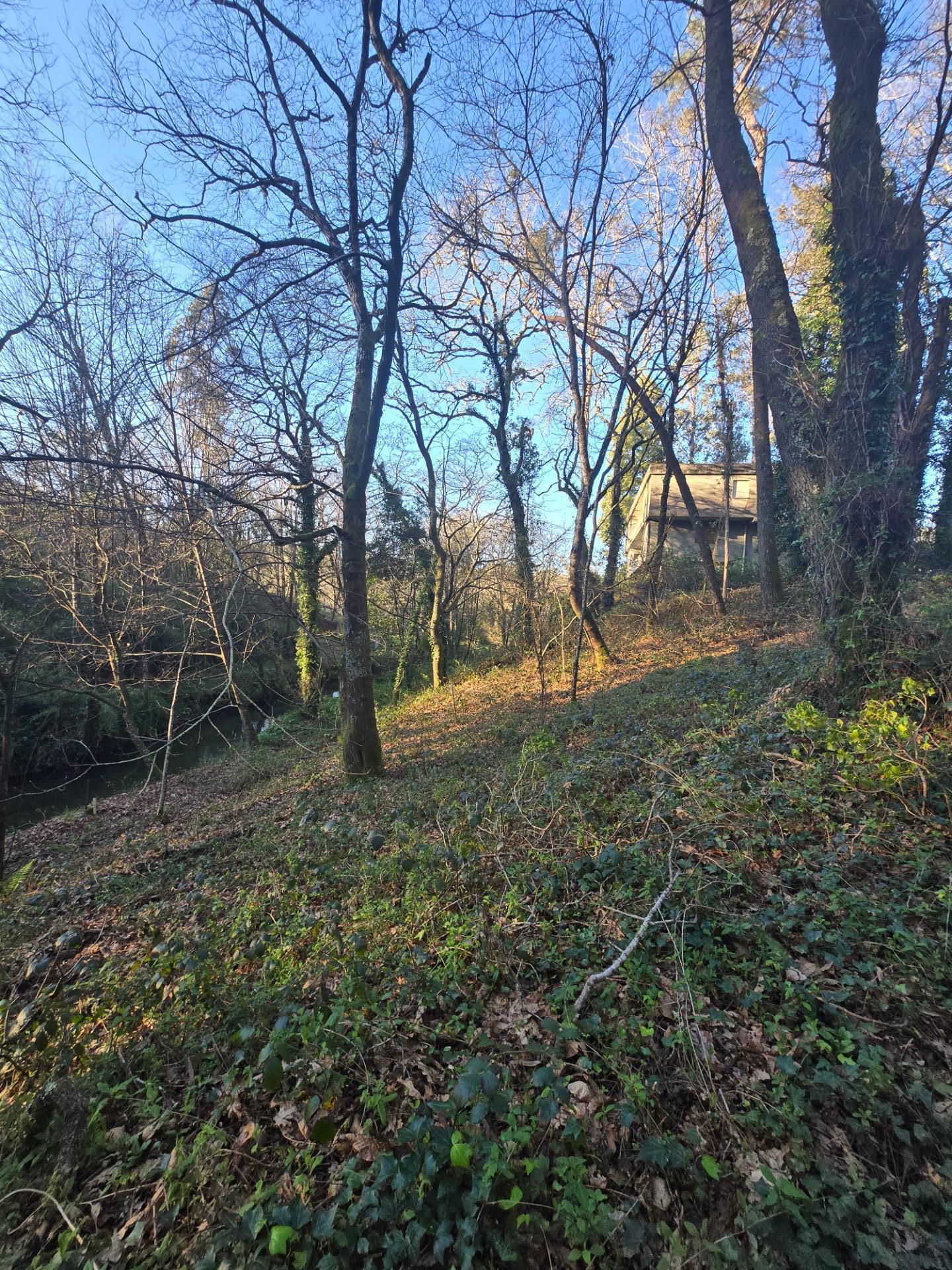 Casas o chalets-Venta-Gondomar-1051703-Foto-4