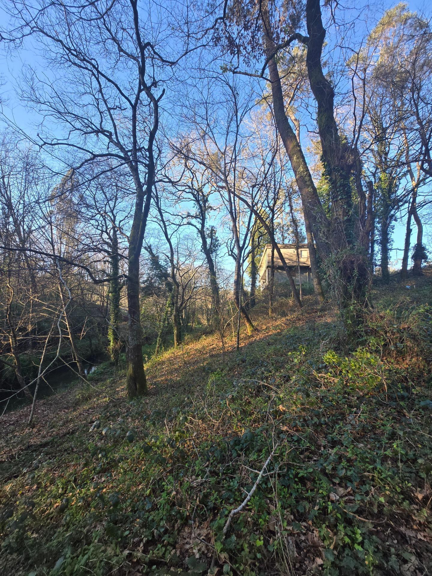 Casas o chalets-Venta-Gondomar-1051703-Foto-6