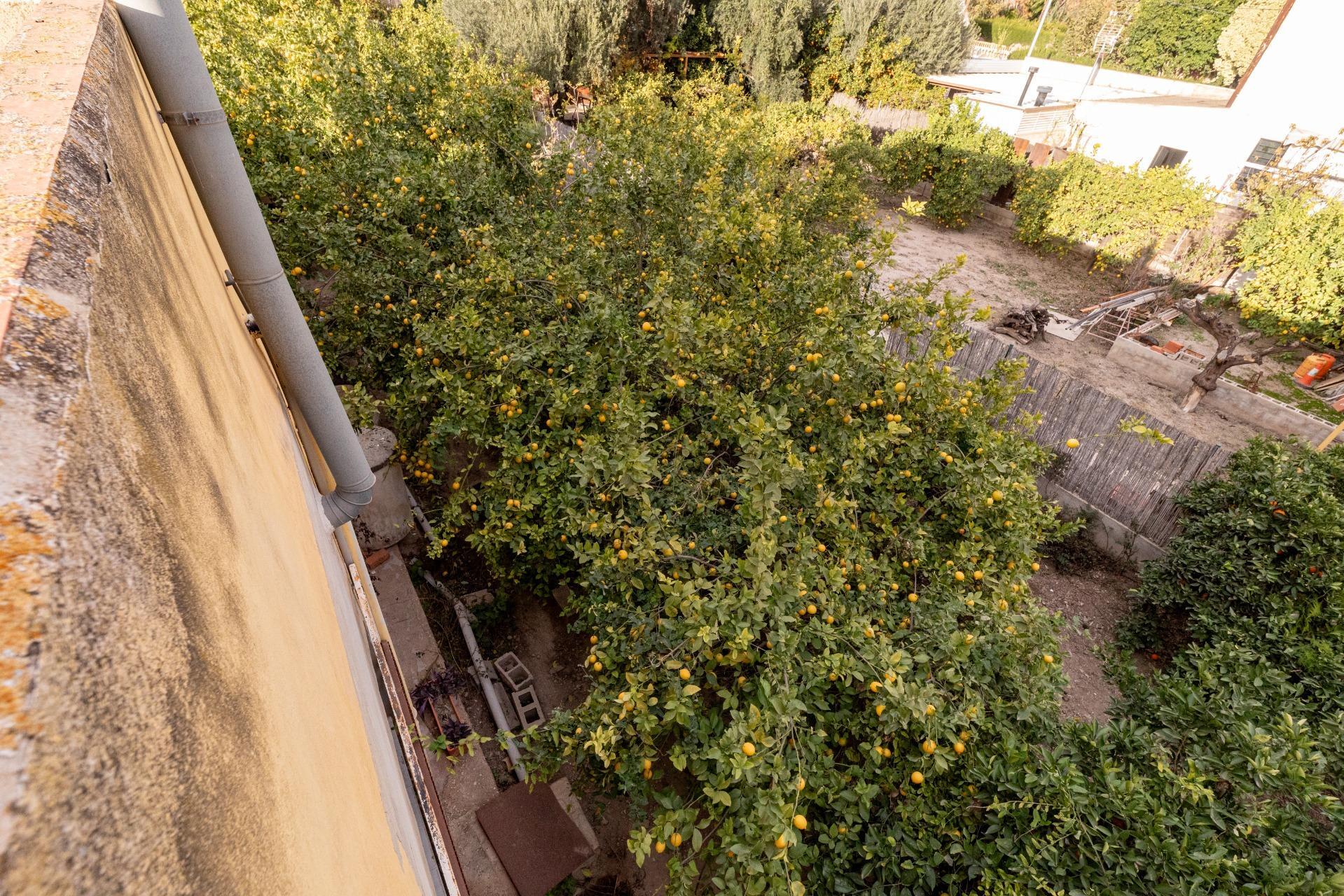 Casas o chalets-Venta-Murcia-1503985-Foto-45