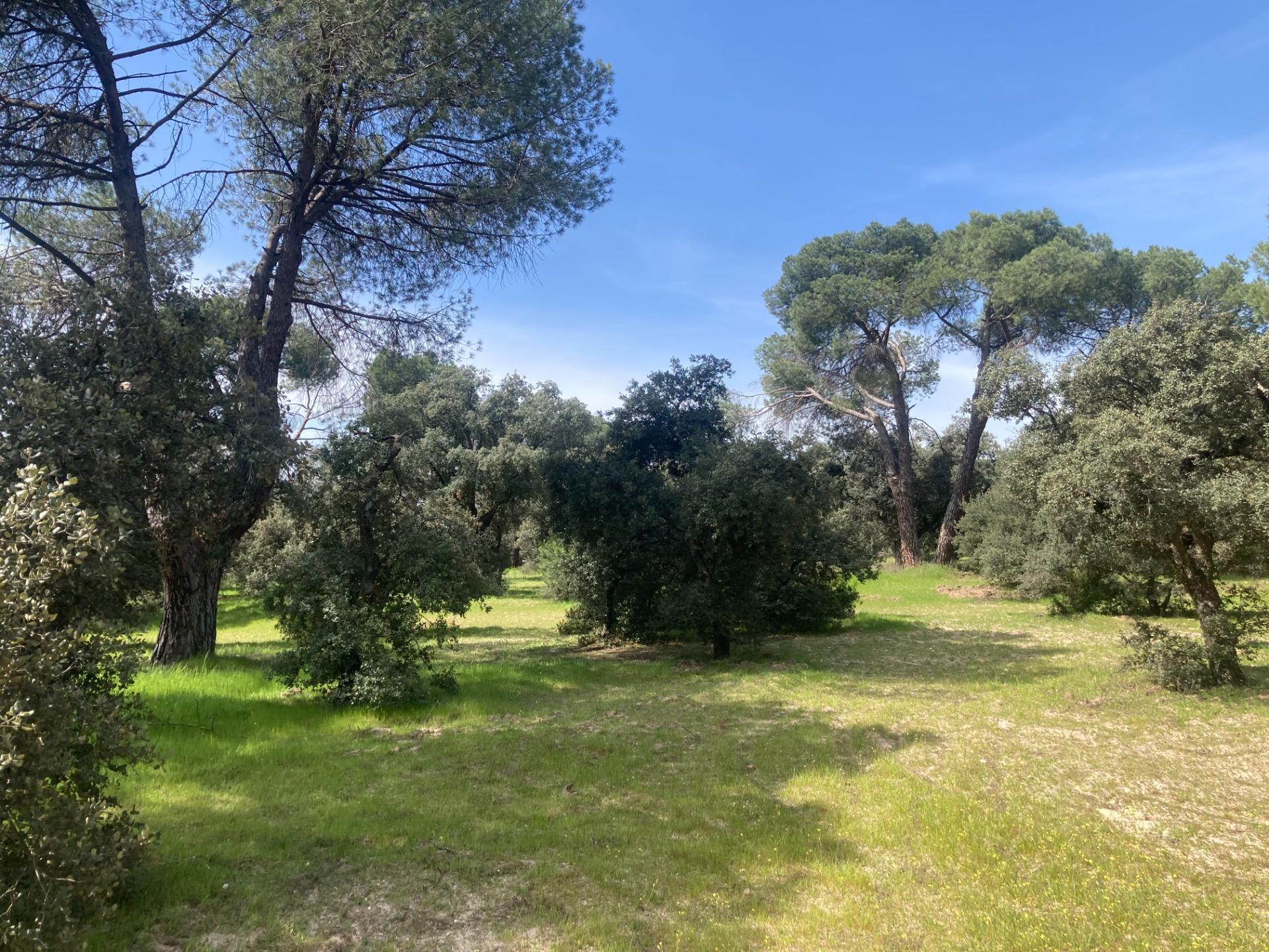 Suelo en venta, Pozuelo de AlarcÃ³n, Madrid, Madrid