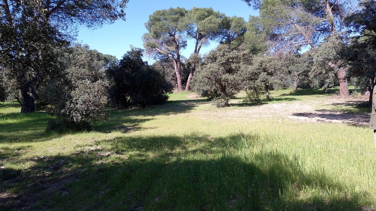 Suelo en venta, Pozuelo de AlarcÃ³n, Madrid, Madrid