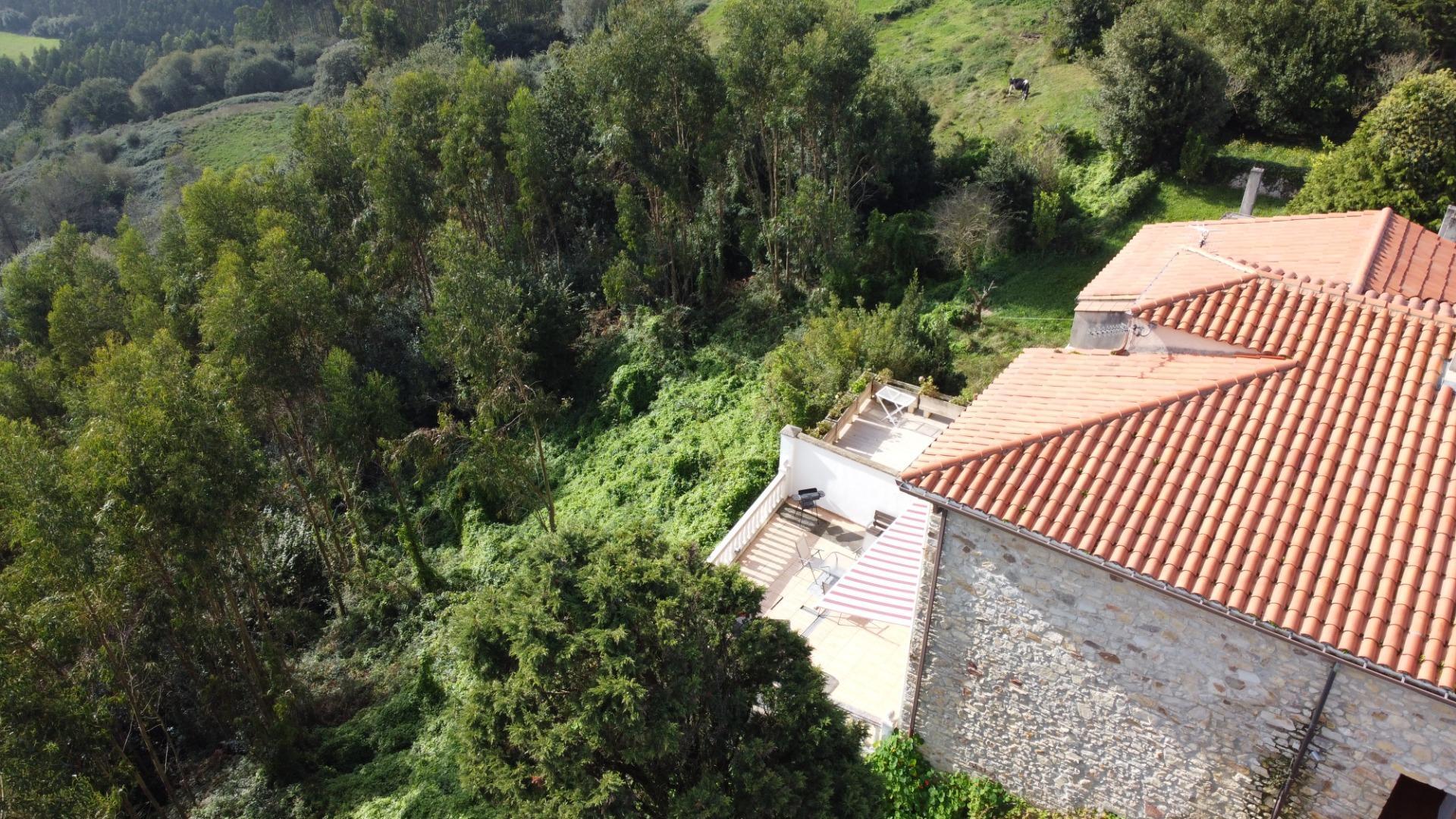 Casas o chalets-Venta-Pimiango-1466261-Foto-70