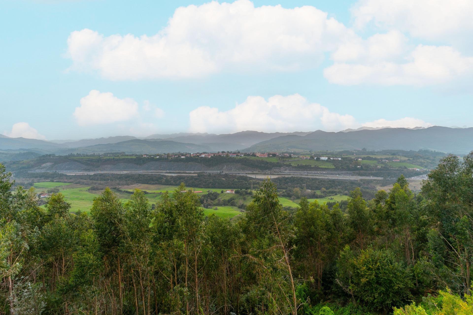 Casas o chalets-Venta-Pimiango-1466261-Foto-88