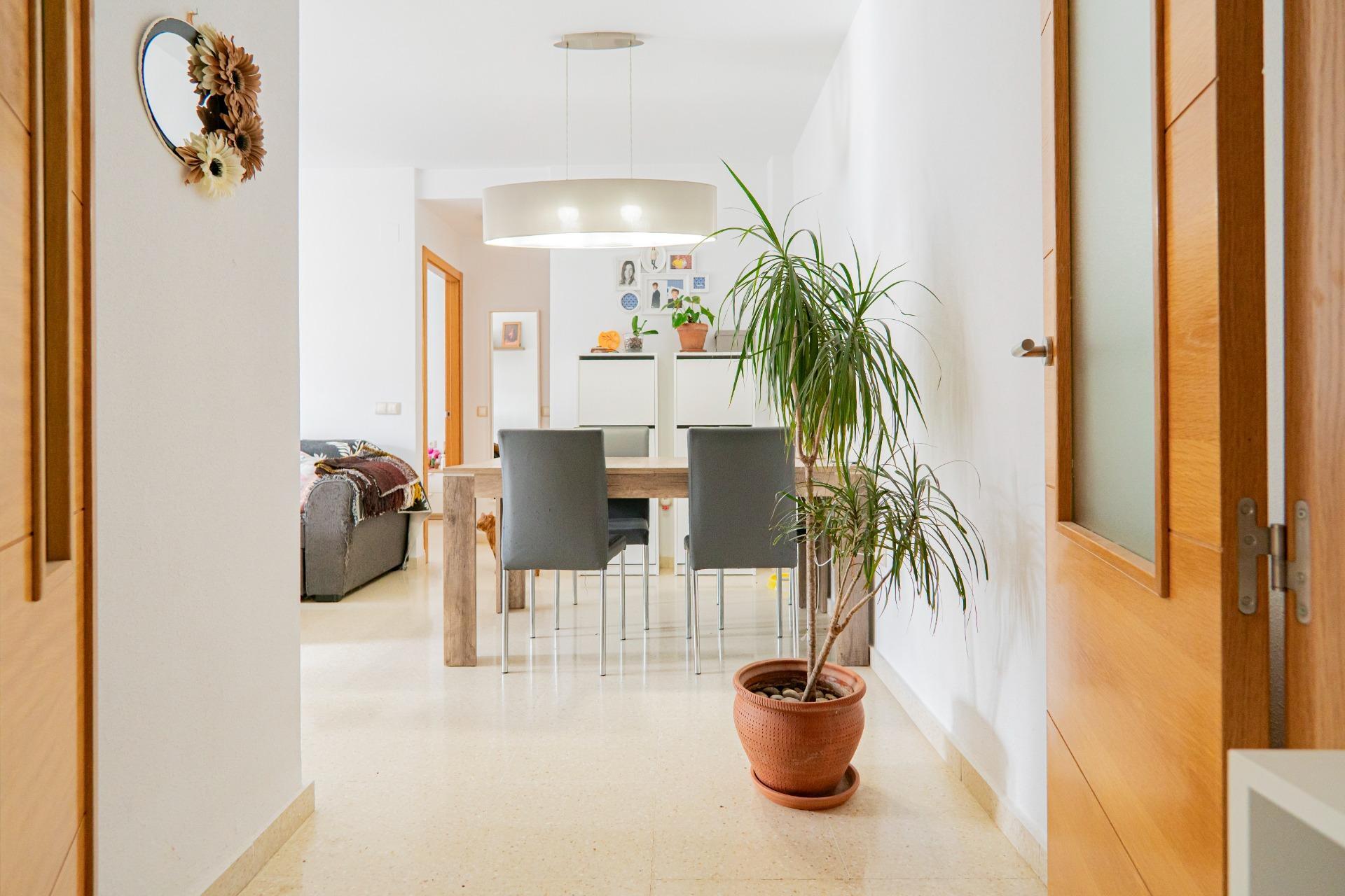 Pisos-Venta-Torrox-1711233-Foto-2