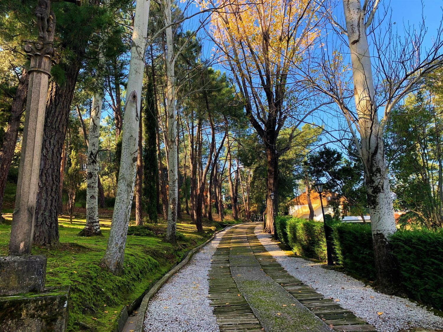 Pisos-Venta-Guadarrama-1021045-Foto-27