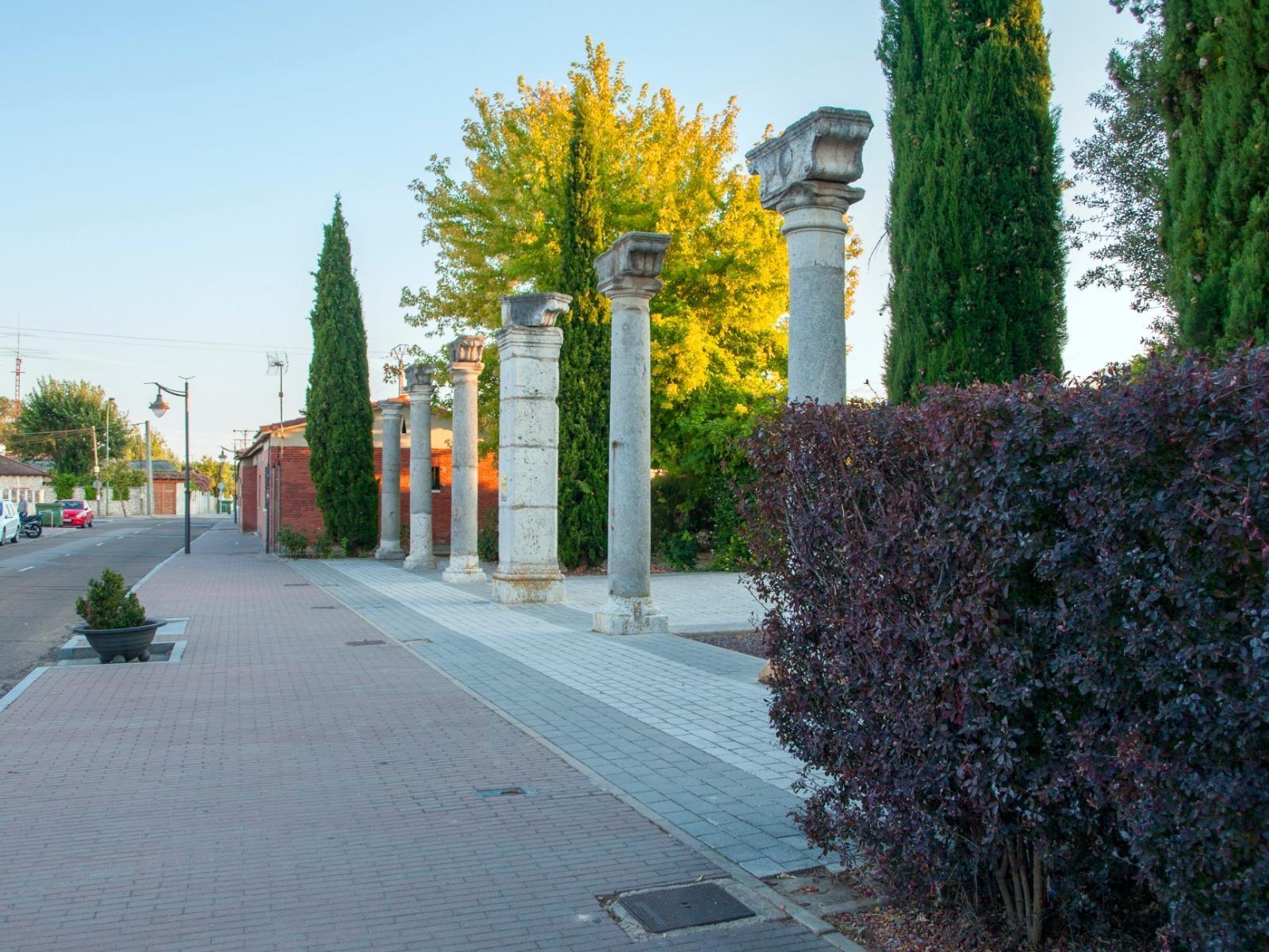 Casas o chalets-Venta-Viana de Cega-1754163-Foto-54
