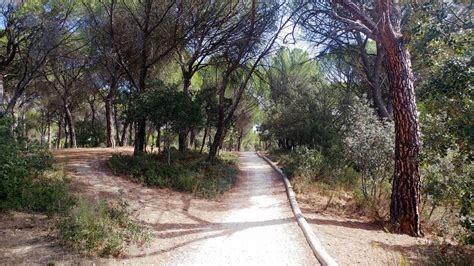 Casas o chalets-Venta-Viana de Cega-1754163-Foto-66