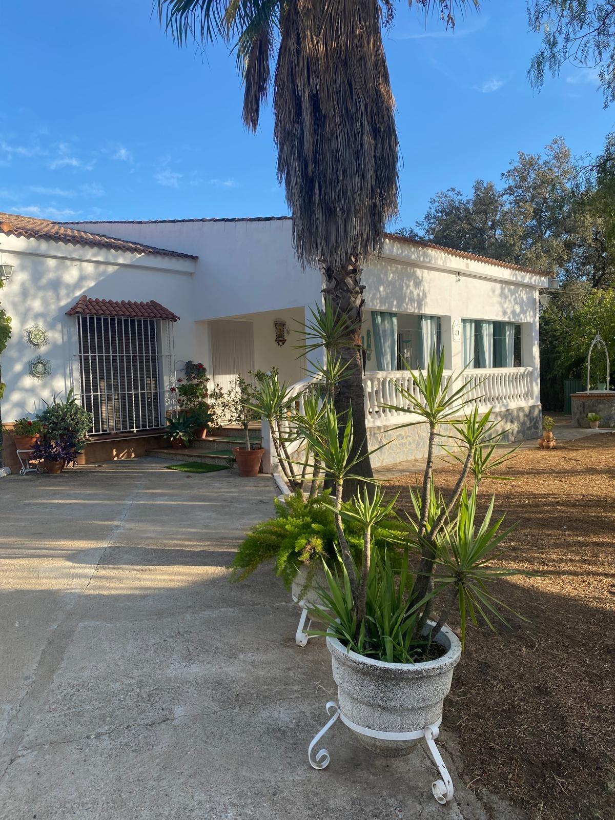 Casas o chalets-Venta-Castilblanco de los Arroyos-1506148-Foto-10