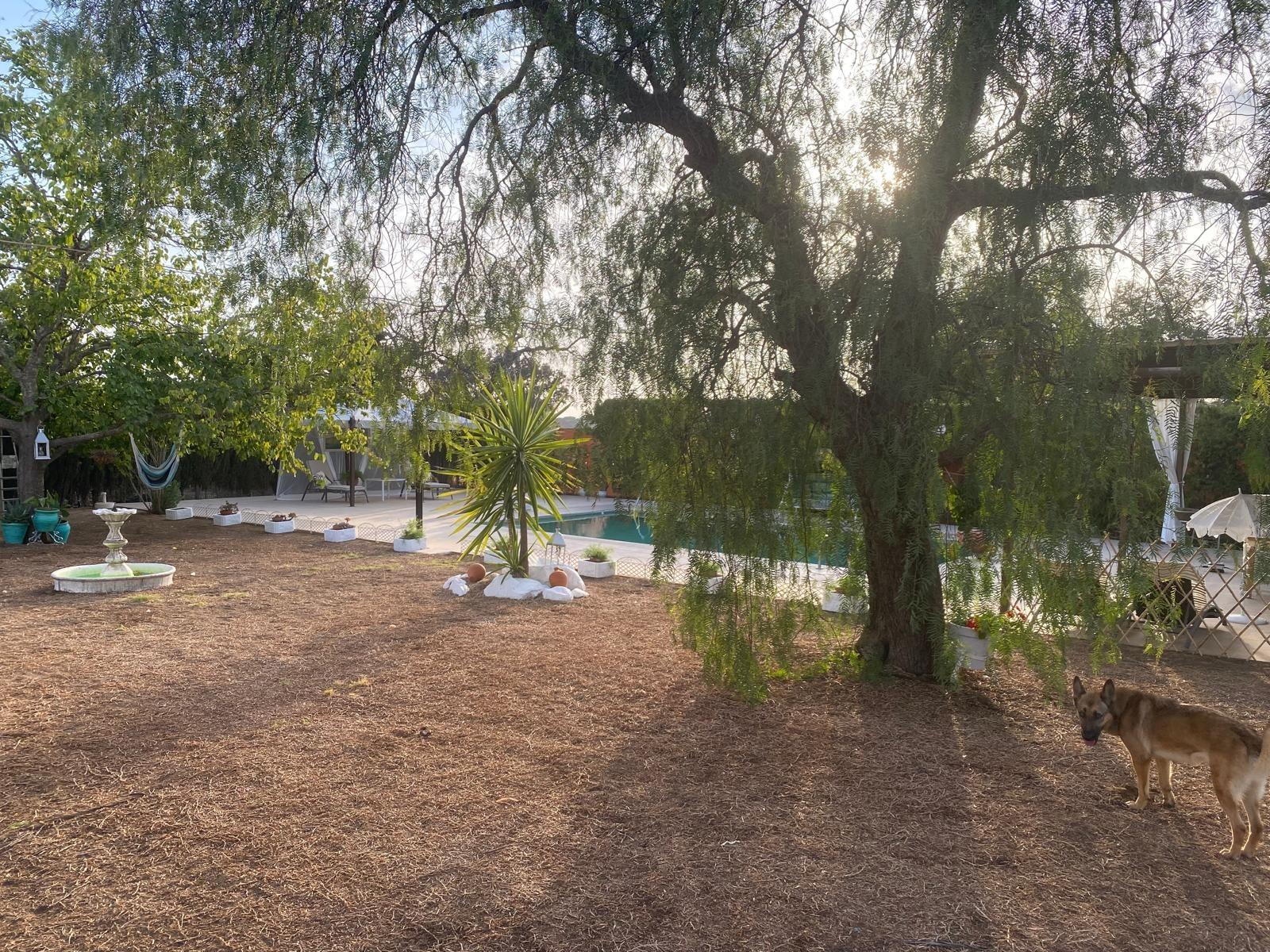 Casas o chalets-Venta-Castilblanco de los Arroyos-1506148-Foto-34