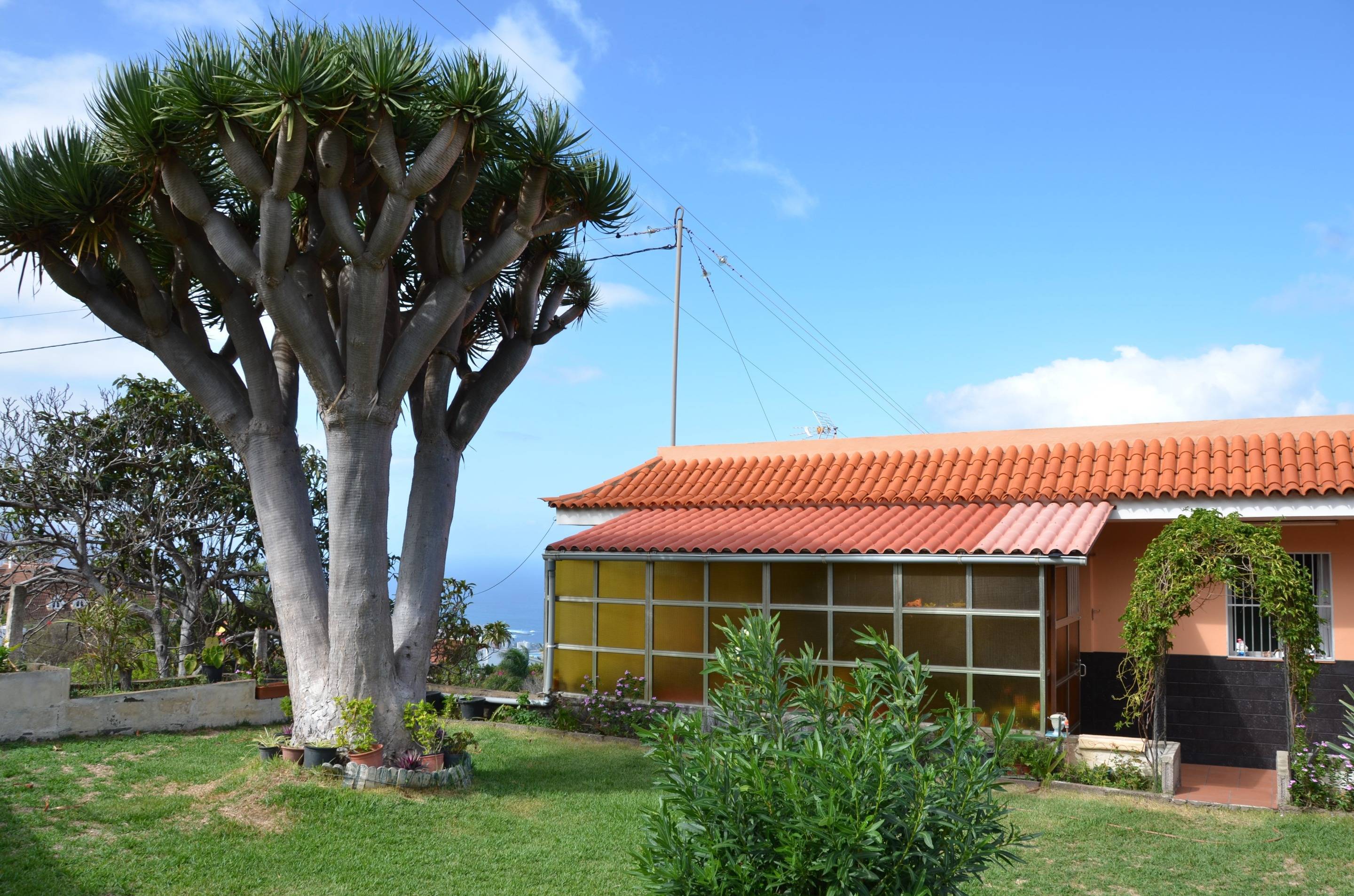 Casas o chalets-Venta-Santa Ãrsula-1712537-Foto-38