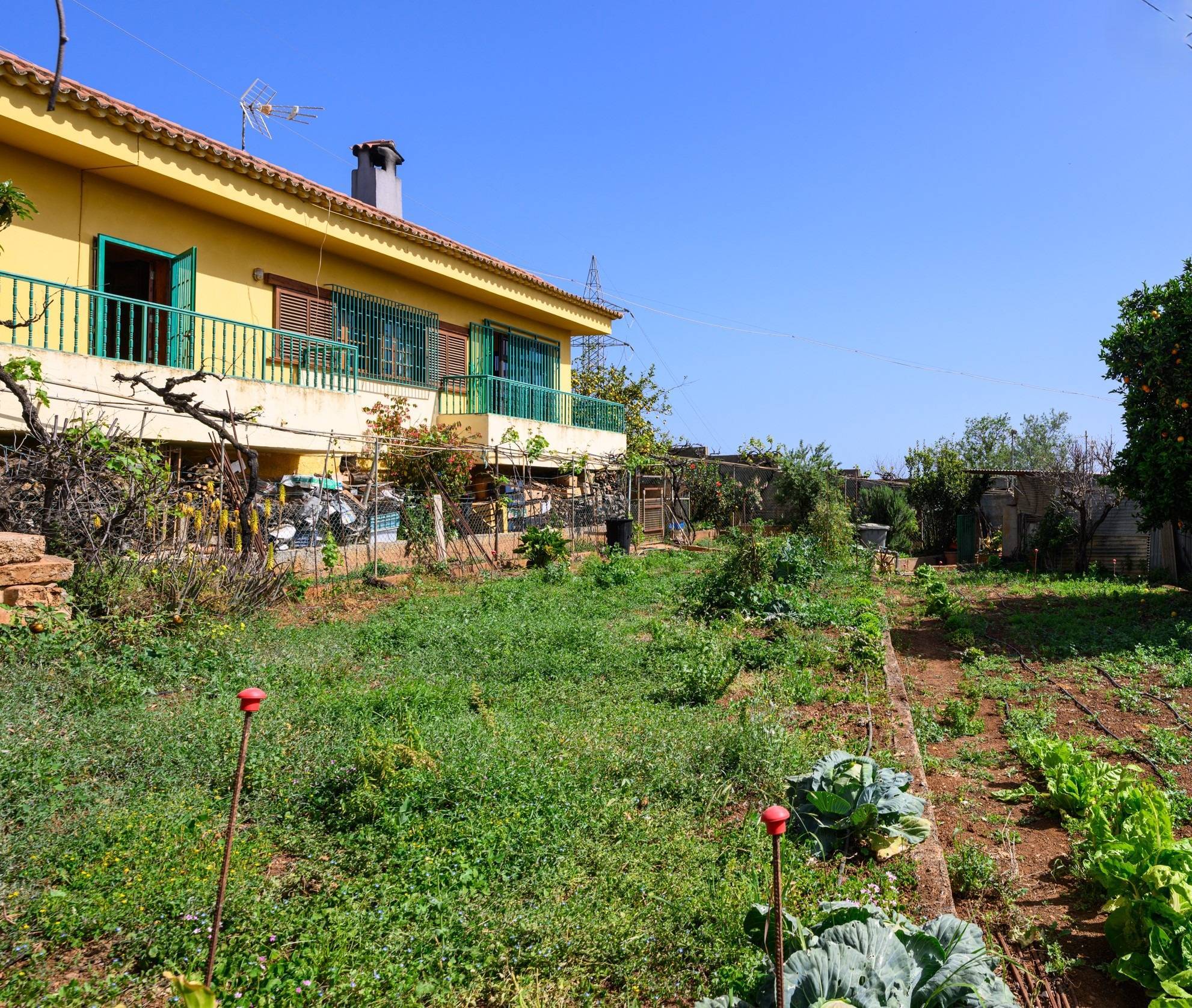 Casas o chalets-Venta-Vega de San Mateo-1712597-Foto-17