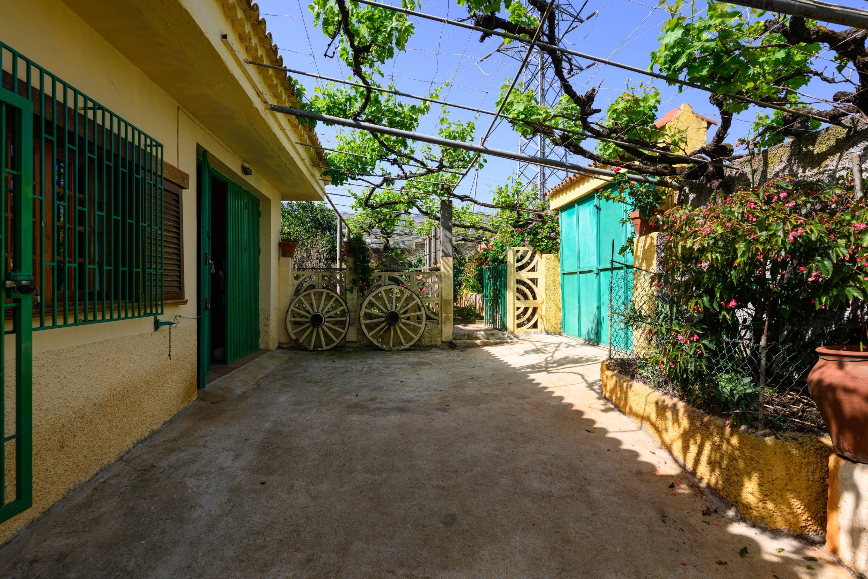 Casas o chalets-Venta-Vega de San Mateo-1712597-Foto-16