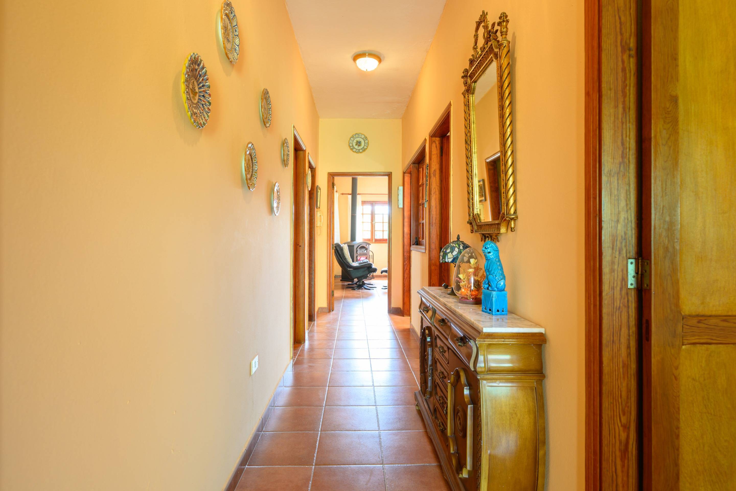 Casas o chalets-Venta-Vega de San Mateo-1712597-Foto-20