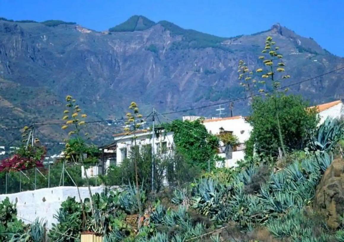 Pisos-Venta-Valsequillo de Gran Canaria-1712648-Foto-34
