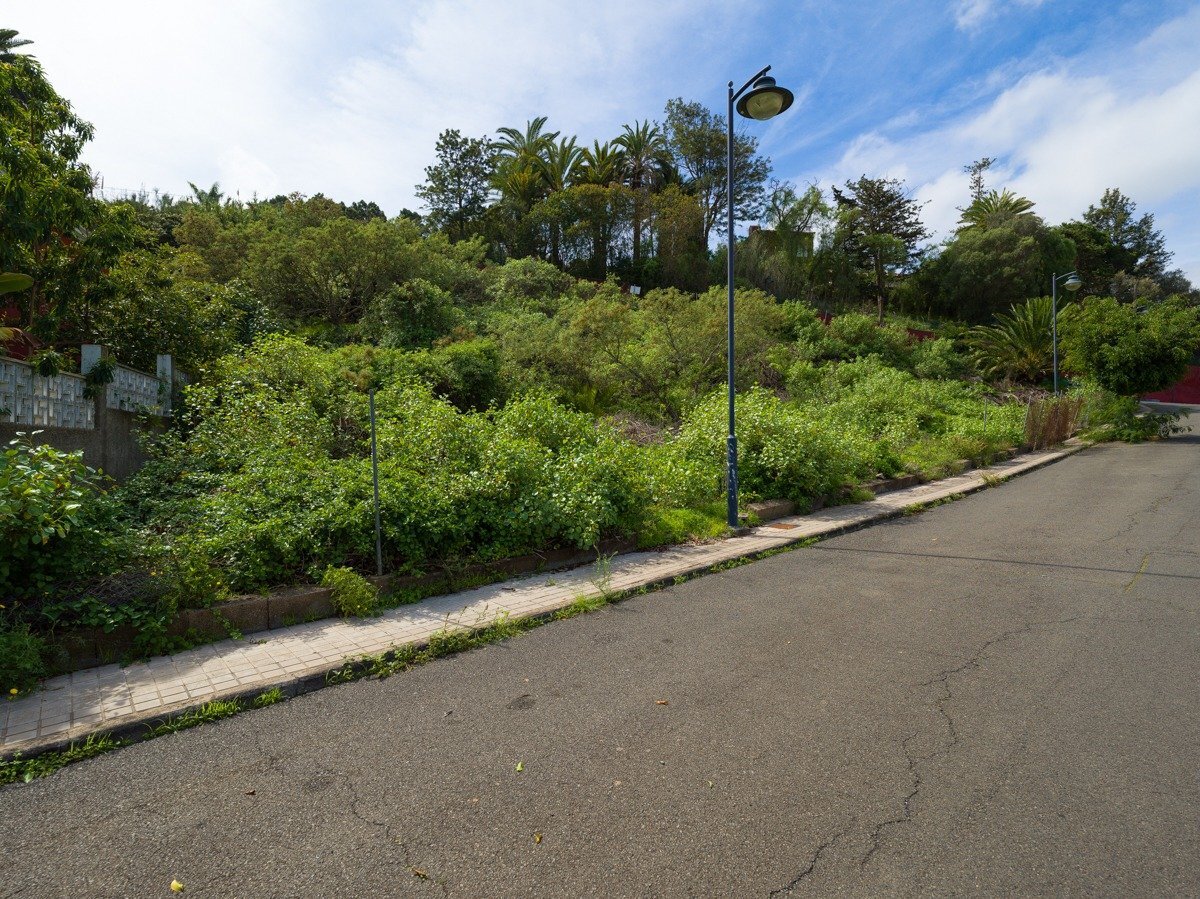 Fincas y solares-Venta-Santa BrÃ­gida-1712687-Foto-11