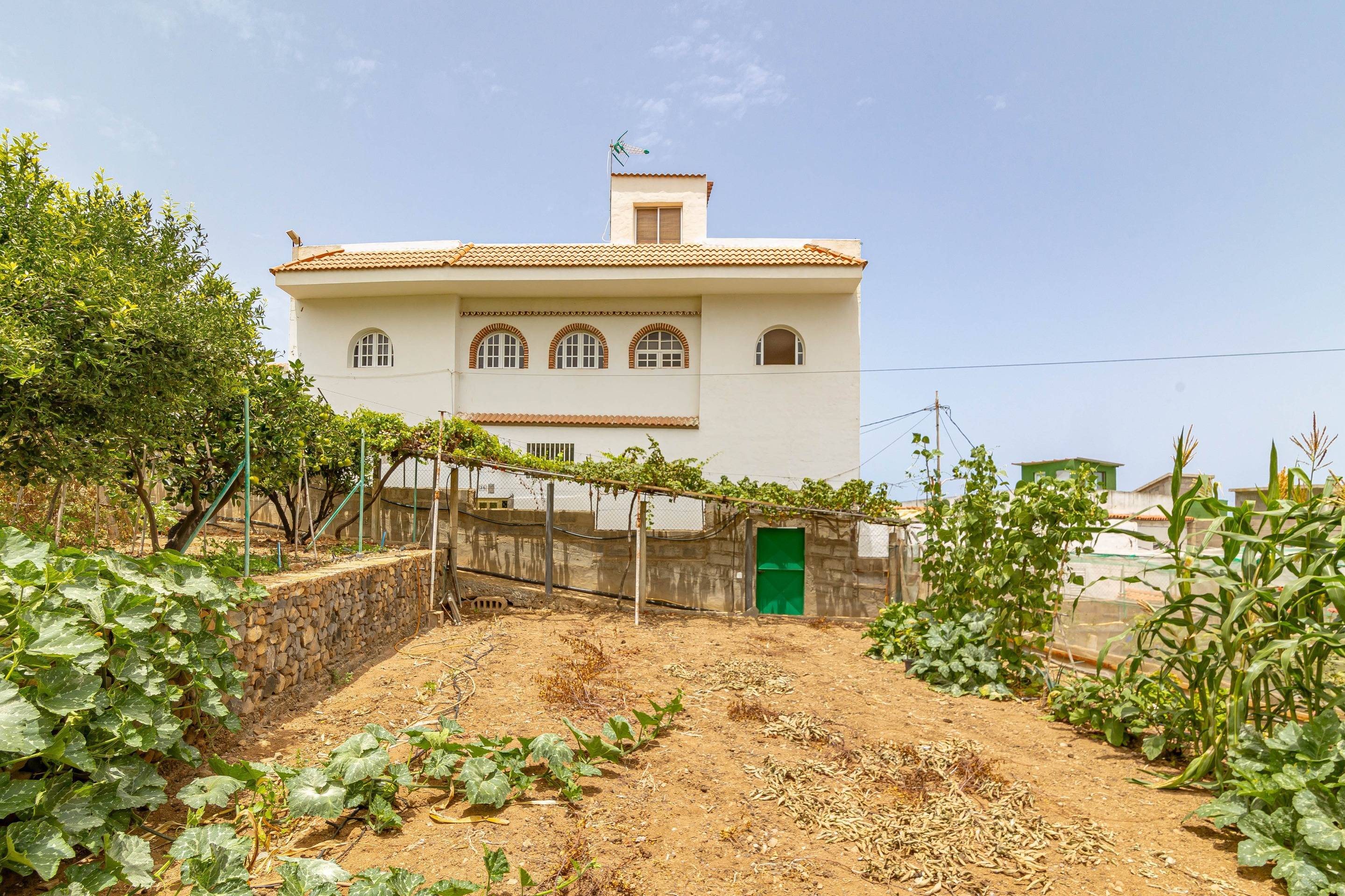 Casas o chalets-Venta-Arucas-1712699-Foto-4