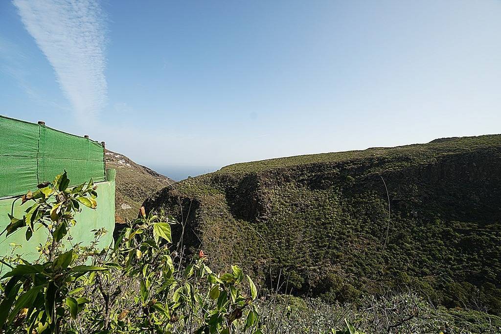 Pisos-Venta-Santa MarÃ­a de GuÃ­a de Gran Canaria-1712777-Foto-78