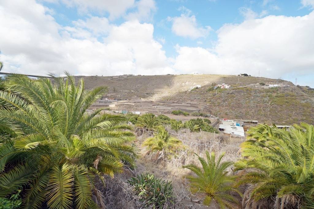 Fincas y solares-Venta-Las Palmas de Gran Canaria-1712783-Foto-7