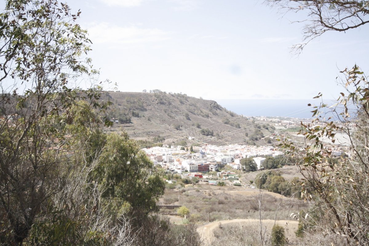 Fincas y solares-Venta-Arucas-1712810