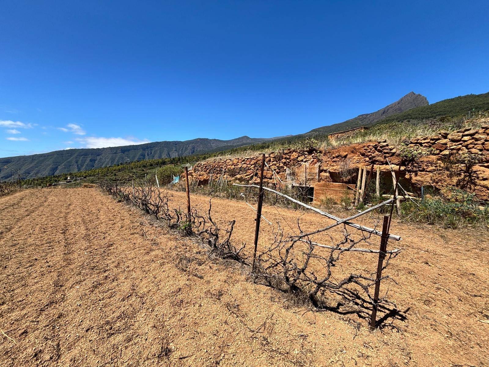 Fincas y solares-Venta-Arafo-1712939-Foto-6