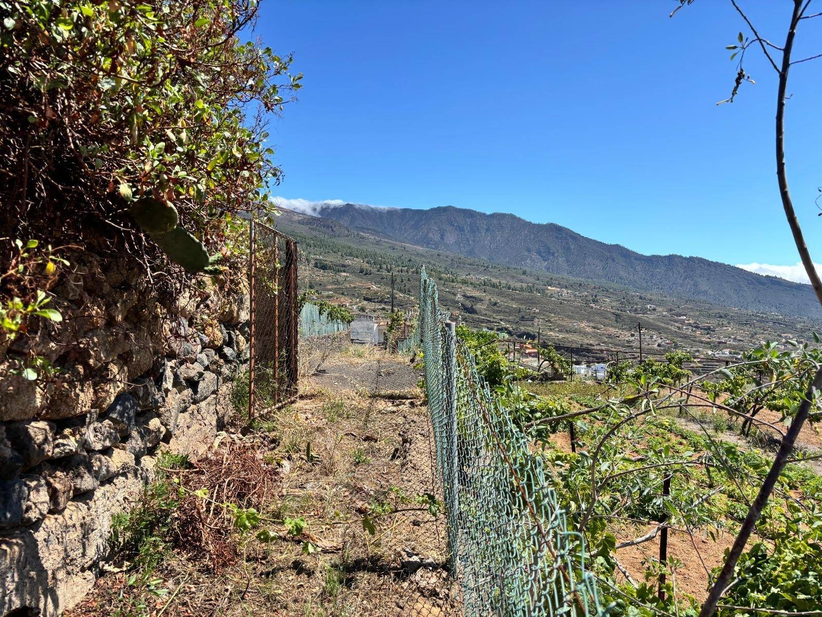 Fincas y solares-Venta-Arafo-1712939-Foto-18