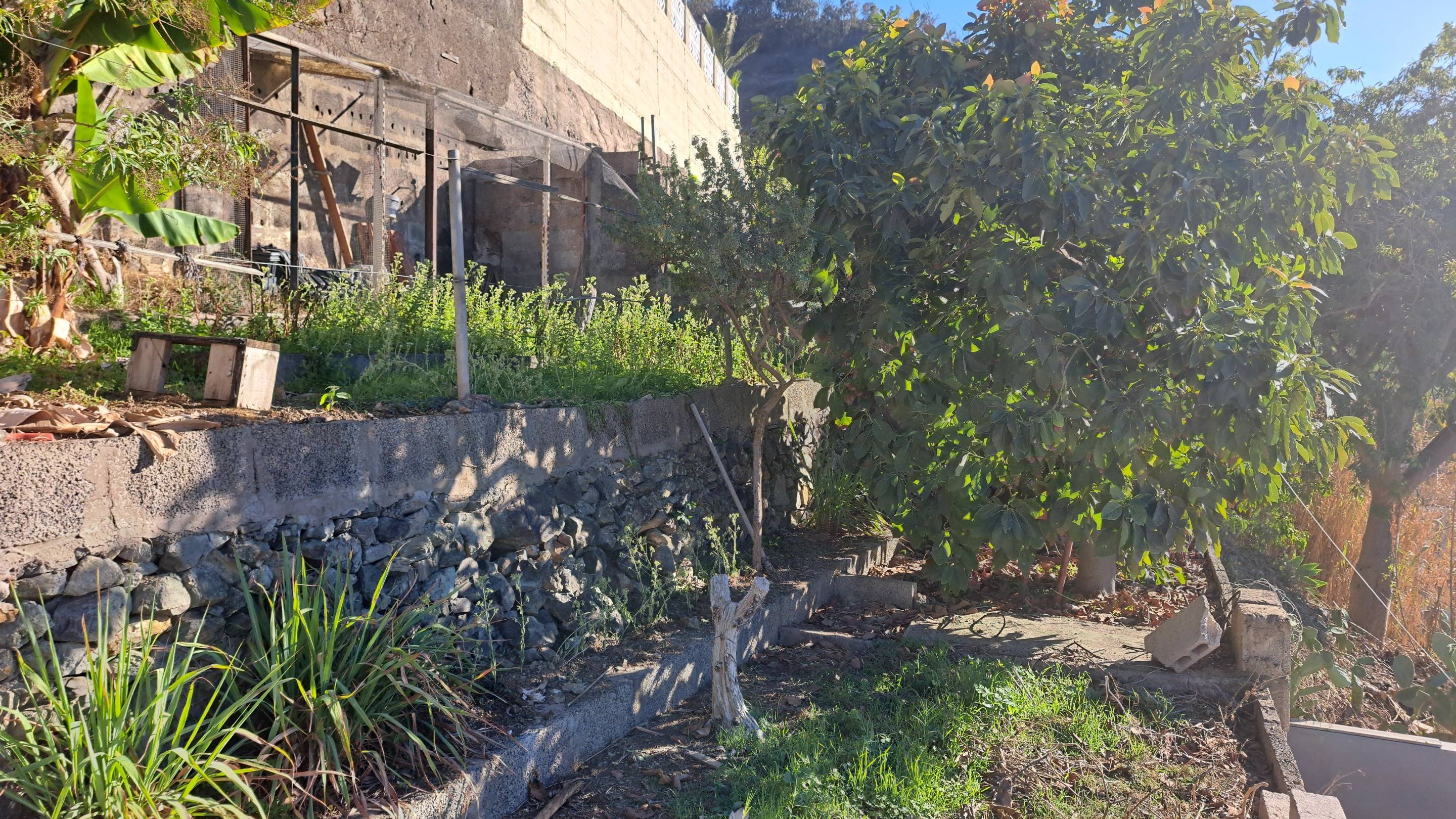 Pisos-Venta-Santa BrÃ­gida-1712975-Foto-13