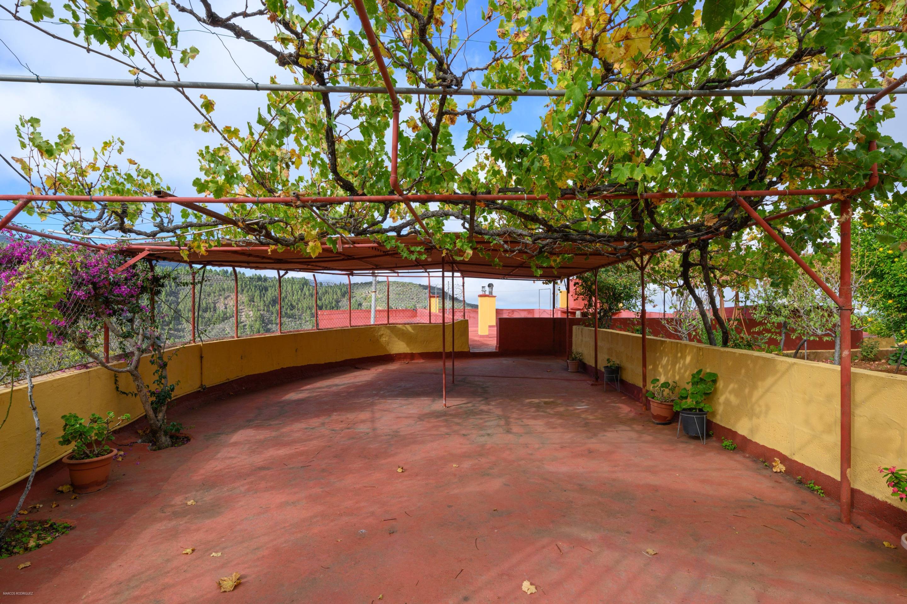 Pisos-Venta-Vega de San Mateo-1713041-Foto-41
