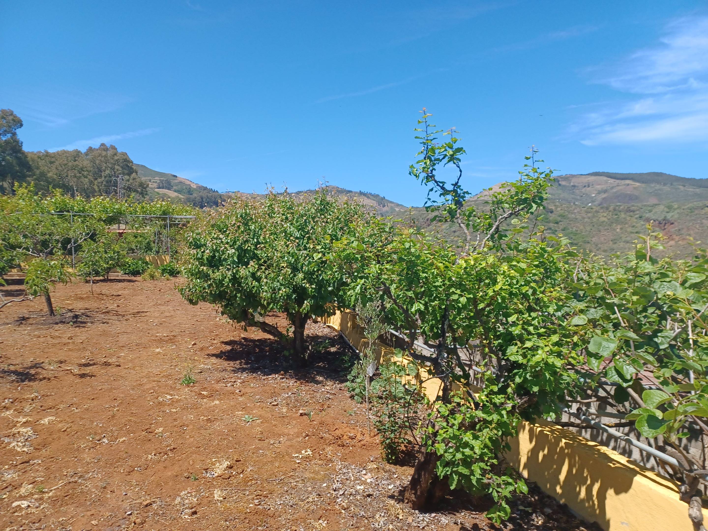 Pisos-Venta-Vega de San Mateo-1713041-Foto-72