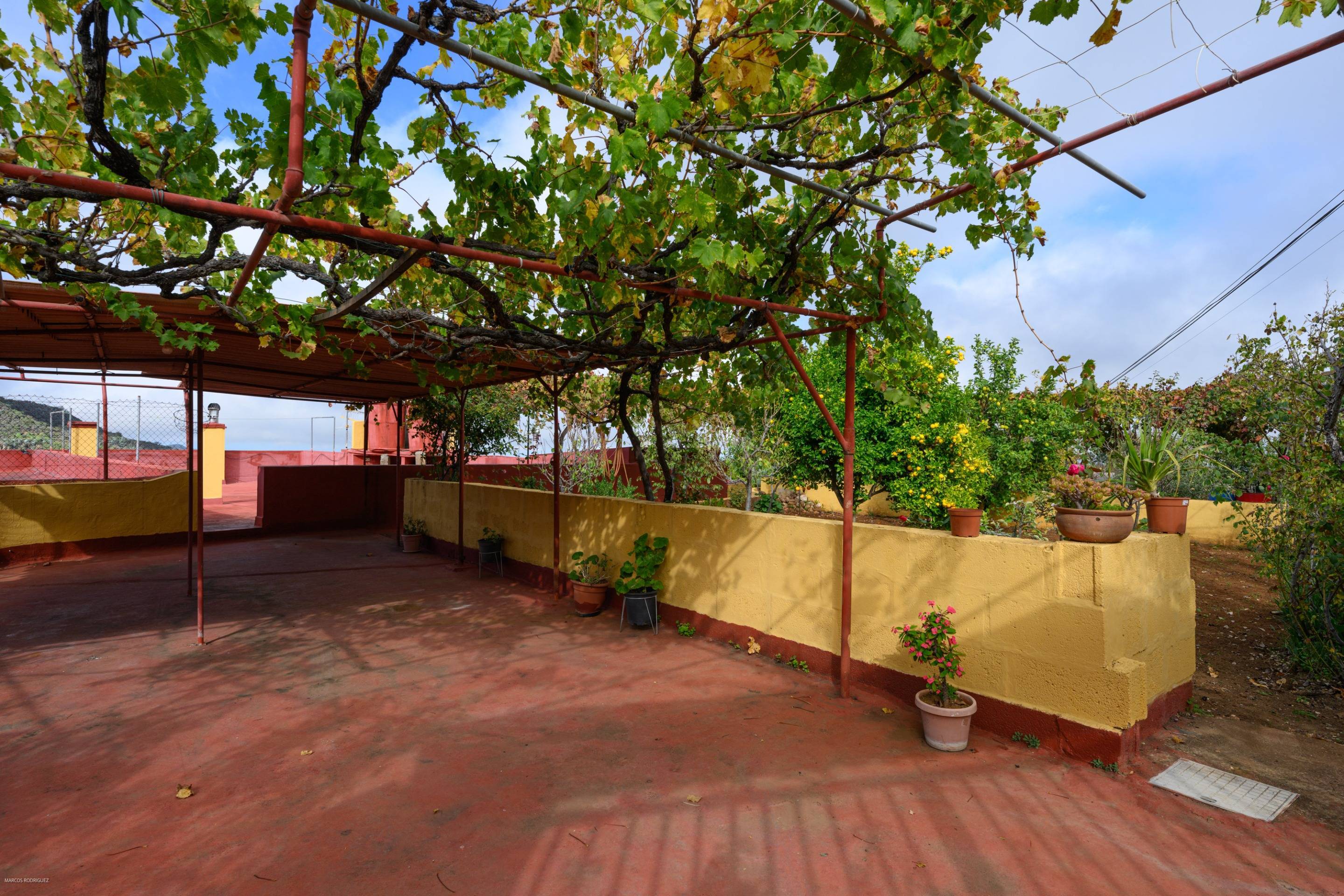 Pisos-Venta-Vega de San Mateo-1713041-Foto-77