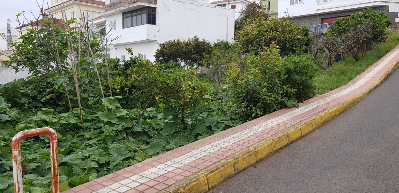Fincas y solares-Venta-Firgas-1713113-Foto-8